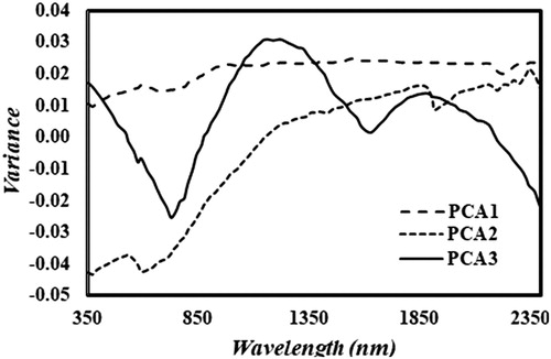 Figure 4. Variance of first three PC spectra in VIS–NIR–SWIR region.