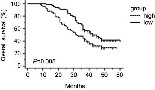 Figure 4 The overall survival analysis in HCC patients by Kaplan–Meier method (P=0.005).Abbreviation: HCC, hepatocellular carcinoma.