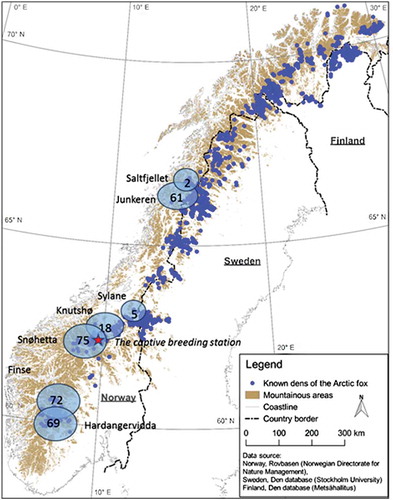 Figure 1. The geographical locations of the breeding facilities, release areas and number of pups released (Dovrefjell includes Snøhetta and Knutshø).