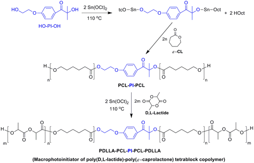 Scheme 2. Synthesis of PDLLA-PCL-PI-PCL-PDLLA.