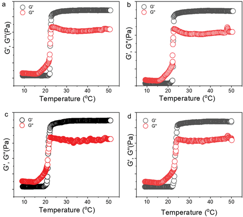 Figure 5. Rheological evaluation of 30% poloxamer hydrogels as a function of temperature (10–50°C). a) Control hydrogel (P407), b) hydrogel containing PDS (P407-PDS), c) hydrogel containing PLGA-NPs (P407-CTL@NPs), d) hydrogel containing PDS-loaded PLGA-NPs (P407-PDS@NPs).