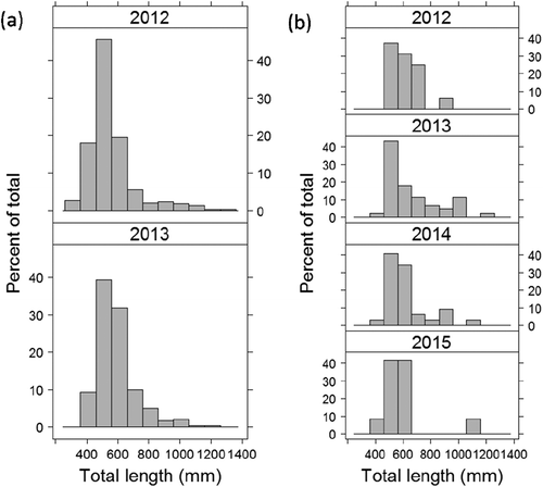 FIGURE 2. Length frequencies of Blue Catfish (a) tagged and released in 2012 (N = 739) and 2013 (N = 498) and (b) recaptured in 2012 (N = 37), 2013 (N = 37), 2014 (N = 24), and 2015 (N = 6).