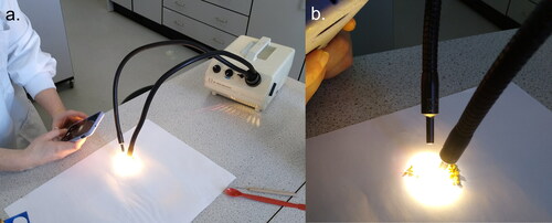 Figure 1. Workspace set up (a) showing the lit area of matte white paper used as a stage (b) for measuring the RGB values of pollen pellets.