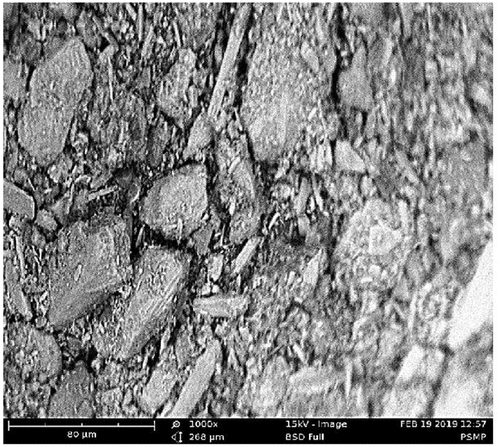 Figure 3. Scanning electron microscope (SEM) image of periwinkle shell powder (Abdelmalik & Sadiq, Citation2019)