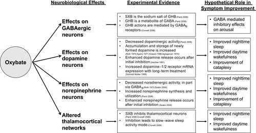Figure 1 Neurobiological effects of oxybate. Data from Citation4,Citation50–Citation59