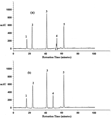 Figure 3. The typical representation of HPLC chromatograms obtained for: (a) Punjab Naroya raw onion variety; (b) Punjab Naroya sprouted onion variety (1: quercetin-3-glucoside; 2: quercetin-4-glucoside; 3: quercetin; 4: myricetin; 5: kaempferol).