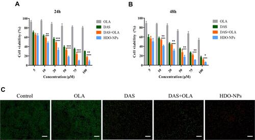 Figure 8 In vitro cytotoxicity analysis of MDA-MB-231 cells after (A) 24 h and (B) 48 h of treatment with free DAS, OLA, DAS + OLA and HDO-NPs. The cell viabilities were determined by MTT cytotoxicity assay. (C) Fluorescent micrographs depicting the cytotoxicity of different drugs. Green represents living cells, and red represents dead cells.