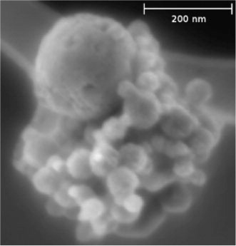 Fig. 3 A FESEM image showing porous aggregate (D08_031) consisting of condensed Ca[O] nanograins that are accreted onto a larger melted aggregate of tiny carbonate grains. Small pores are visible in the largest sphere. The entire cluster is about 425 nm in size. The background is the holey carbon thin-film collection substrate.