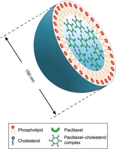 Figure 1 A schematic representation of lipid emulsion loaded with the paclitaxel–cholesterol complex.