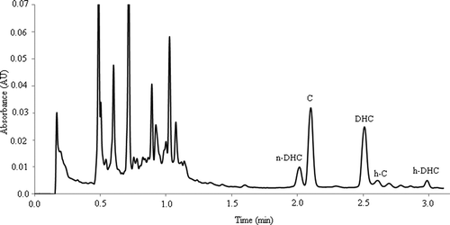 FIGURE 1 UHPLC chromatogram of Malagueta Verde extract.
