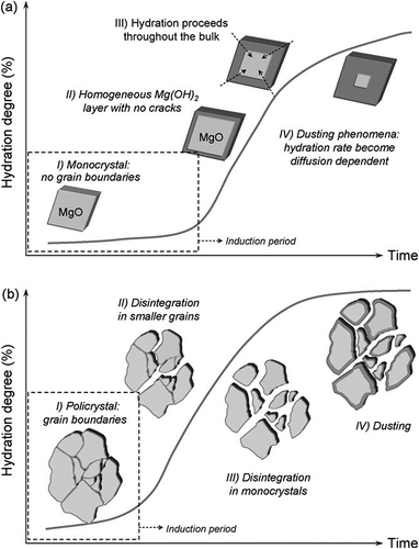 Figure 4. Hydration mechanisms of (a) magnesia monocrystal and (b) polycrystalline magnesia [Citation30].