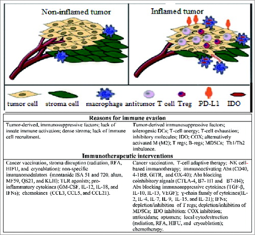 Figure 1. Non-inflamed versus inflamed tumor microenvironments with implications for immunotherapy. Potential barriers to developing antitumor immune responses, and possible contra interventions are indicated for non-inflamed (left) and inflamed tumors (rights). This figure is partially adapted from Spranger S, Gajewski T., 2013 Citation25.