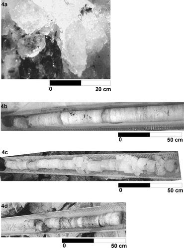 FIGURE 4. (a) ice fragments of the upper part (2.5–4 m); (b) ice core between 4.1 and 5.6 m—note the subhorizontal foliations and debris bands; (c) ice core between 5.6 and 7.1 m; (d) permafrost core with some thin ice layers between 8.9 and 10 m. The top is always to the left