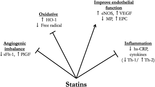 Figure 1. Biological plausibility and pleiotropic actions of statin when used to treat/prevent preeclampsia. (HO-1: heme oxygenase-1; sFlt-1: soluble fms-like tyrosine kinase 1; PlGF: placental growth factor; eNOS: endothelial nitric oxide synthase; VEGF: vascular endothelial growth factor; MP: microparticles, EPC: endothelial progenitor cells, hs-CRP: high sensitivity c-reactive protein).