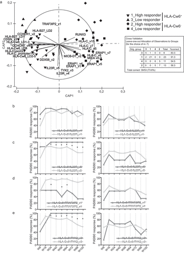 Figure 4. HLA-Cw6 status identifies specific SNP patterns in psoriatic patients correlating with clinical response to secukinumab. Clustering of patients based on presence of SNPs and response to secukinumab was performed by CAP on a cohort of psoriatic patients (n = 53), classified as high responders to secukinumab (PASI90 or PASI100 achievement at week 56) or low responders (unsatisfactory responses or achievement of PASI75 or less at week 56). (A) CAP ordination plot shows a significant clustering of psoriatic patients belonging to HLA-Cw6+ and HLA-Cw6− groups along x-axis, and, in particular, to four established subgroups: HLA-Cw6+ high-responders (downward triangles), HLA-Cw6+ low-responders (triangles), HLA-Cw6− high-responders (diamonds), and HLA-Cw6− low-responders (squares) to secukinumab. The percentage of patients carrying similar SNP profiles, based on the response to secukinumab and HLA-Cw6 status, and relative to leave-one-out allocation of observations to groups, are shown in panel A. The length of each vector line corresponds to the strength of the correlation and direction for each SNP (squared canonical correlations δ12 = 0.89 and δ22 = 0.25; p = 0.0002; 69.8% of sampling units correctly classified). Univariate logistic regression analysis was employed to evaluate the association between rs1004819 (IL23R_v4) (B), rs2201841 (IL23R_v5) (C), rs71562288 (TRAF3IP2_v1) (D) or rs2304255 (TYK2_v3) (E) and PASI90 response at 8, 16, 24, 40, 56, 64, 72, 88 and 100 weeks of treatment, in HLA-Cw6+ (left column) and HLA-Cw6− (right column) patient groups. *p values < 0.05 were considered significant