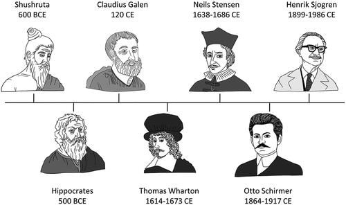 Figure 1. A historical timeline illustration of the important figures who contributed to improving the knowledge of tear production and lacrimal glands in human eyes.