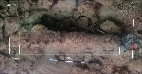 Figure 28. Orthophoto mosaic of gun 35, whose size is consistent with a 12-pounder. Scales are 1 m with 20 cm increments (survey and mosaic produced by Daniel Pascoe).