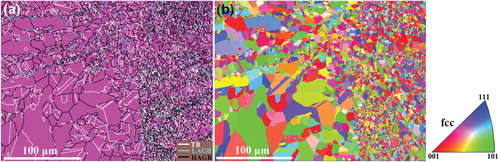 Figure 1. EBSD phase map (a) and inverse pole figure map (b) of the HS HEA. HAGB, LAGB and TB in (a) correspond to high-angle grain boundaries (≥15°), low-angle grain boundaries and twin boundaries, respectively.