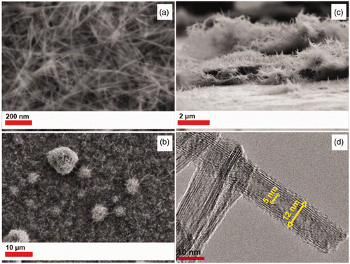 Figure 5. SEM images of a titanium nanotube array formed by hydrothermal treatment of a PLD derived from P90 film with a 10 M NaOH-P90 solution for 24 h, (see sample C8 in Table 1). (a) and (b) top view, (c) cross section and (d) TEM image of a titanium nanotube from P90 film.