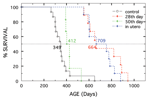 Figure 5 Survival of (NZW × NZB) F1 males started on 10−3 M 2-Me at different ages. Not treated shown in black (n = 15). Started in utero shown in blue, (n = 10). Started at 28 days of age shown in red (n = 9) and started at 50 days shown in green (n = 6).
