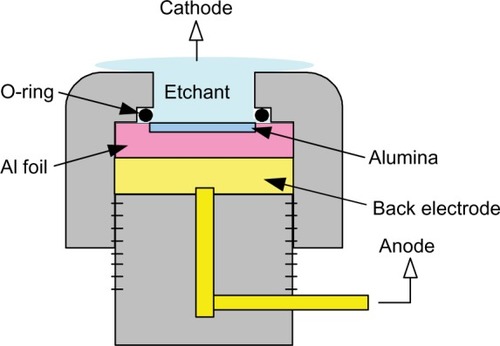 Figure 2 Anodic aluminum oxide membrane fabrication setup.