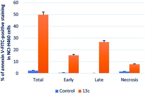 Figure 7. The percentage of NCI-H460 cells stained positively for annexin V-FITC in the apoptosis assay is affected by compound 13c and DMSO. The values are the mean ± SD of three experiments.