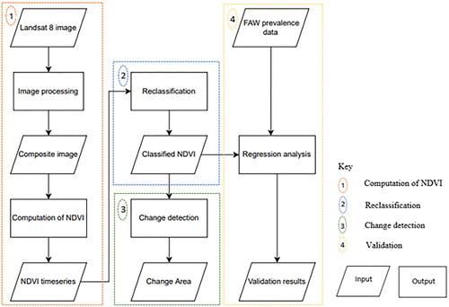 Figure 2. Flowchart of the hierarchical methodology steps for assessing and quantifying the damage of fall armyworm on maize productivity using the normalized difference vegetation index (NDVI).