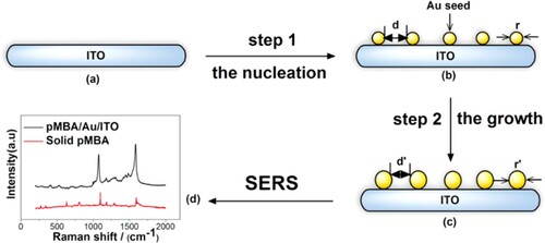 Figure 7. The two-step ED process used by Wang et al. to form gold NPs on ITO. Reproduced from Ref [Citation79] with permission. Copyright 2013 American Chemical Society.