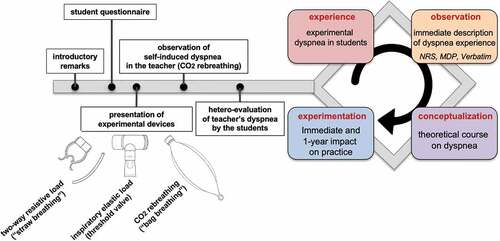 Figure 1. Course sequence. The design of the course was based on the four-stage process of Kolb’s experiential learning cycle [Citation17], the students’ knowledge about dyspnea being enriched through personal experience of dyspnea. After being engaged in an actual dyspnea experience (step 1: concrete experience), students were invited to reflect on what happened to them during this experience (step 2: reflection/observation). A theoretical course then intended to help the students amalgamate their personal experience and theoretical concepts (step 3: conceptualization/explanation). Finally, immediate, and delayed evaluations assessed the change in the students’ beliefs and attitudes about dyspnea (step 4: active experimentation/projection).