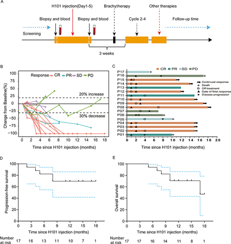 Figure 1 (A) Overview of study schedule; (B) spider plots to illustrate the tumor burden changes over time; (C) swimmer plot showing a clinical response, duration of response, and therapy. (D) Kaplan-Meier curve for PFS; (E) Kaplan-Meier curve for OS.