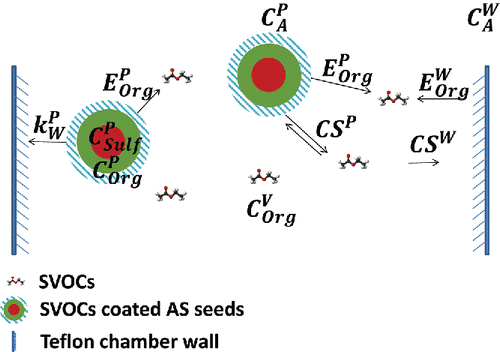 Scheme 2. The mass balance and dynamics of organics and sulfate (seeds) including the gas phase, the particle phase and the chamber walls. The ammonium sulfate constrains particle wall losses. The vapor wall loss rate of organics can be determined by the change of the organic to sulfate ratio in the particles (org:sulf) and the corrected suspended sulfate concentrations.