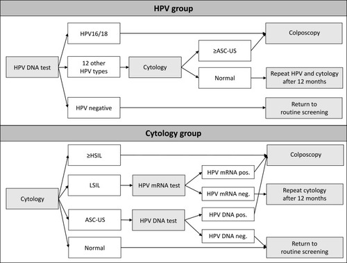Figure 1 Screening algorithms in the HPV- and cytology group of HPV SCREEN DENMARK.