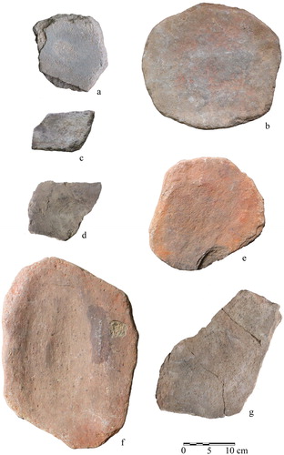 Figure 2. Examples of grinding-slabs from Pastoral Neolithic sites mentioned in the text: a) fragmented slab exhibiting hollowing, Naivasha Railway Rockshelter; b) slab with pronounced ochre staining, Keringet Cave; c) fragmented slab, Hyrax Hill; d) fragmented slab, Eburu Station Lava Tube Cave; e) slab with pronounced ochre staining, Njoro River Cave; f) slab with pronounced ochre staining exhibiting hollowing, Njoro River Cave; g) fragmented slab, Njoro River Cave.