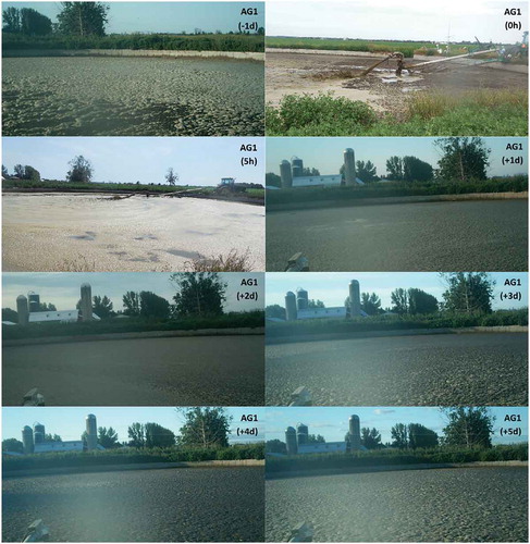 Figure 5. Daily time-lapse series showing surface foam formation of the large storage tank the day before first agitation event [AG1 (−1d)], during the first 5 hours of agitation (AG1 0h and 5h), the day after agitation [(AG1 (+1d)], until 5 days after agitation [AG1 (+5)]. Except during agitation, pictures were captured between 06:30 a.m. and 07:00 a.m. (before foam dissipated in the late morning).