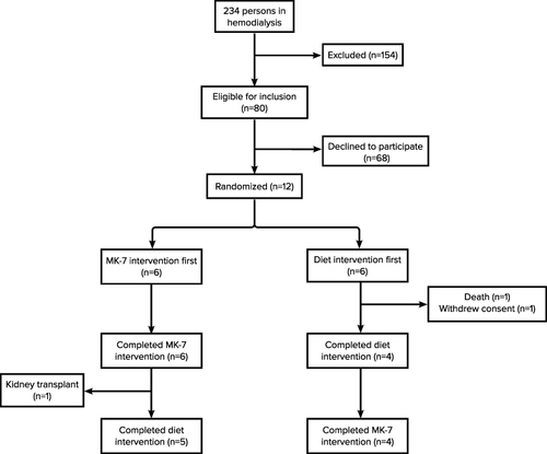 Figure 1 Flowchart of participants. A total of 12 patients were enrolled, whereas 10 participants completed the MK-7 intervention and nine completed both interventions.