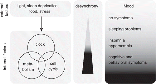 Figure 3. Model illustrating the relationship between internal/external factors and mood status according to the degree of desynchronization between the internal and external worlds.
