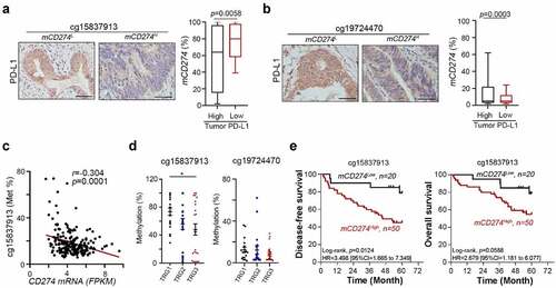 Figure 2. Methylation on PD-L1 promoter loci was clinically associated with the response to CCRT and survival outcome in LARC patients