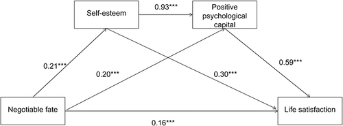 Figure 1 Mediating roles of self-esteem and positive psychological capital between negotiable fate and life satisfaction.***P<0.001.
