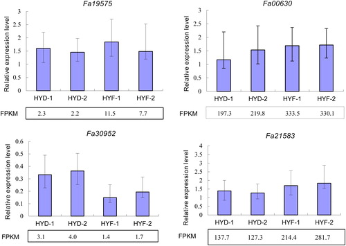 Figure 4. Quantitative real-time PCR validation of RNA-Seq data based on gene expression levels. FPKM, reads per kb per million reads. Note: The strawberry ACTIN gene was used as an internal reference. Columns with error bars indicate relative quantification (RQ). RQmax and RQmin were calculated using an ABI 7500 instrument.