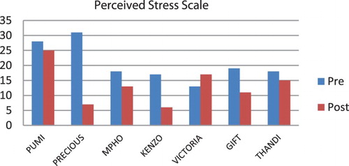 Fig. 2. Pre- and post-intervention stress scores per participant.