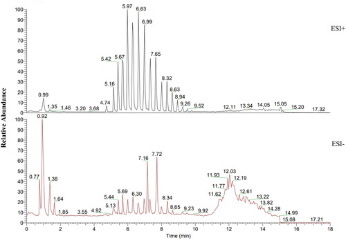 Figure 1. The total ion chromatogram of KGY.