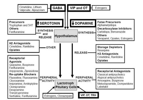 Figure 2 Schematic representation of mechanisms of drug-induced hyperprolactinemia.