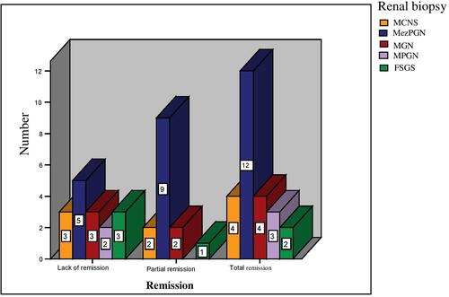 Figure 2 Renal biopsy – evaluation of the evolution of SRNS cases.
