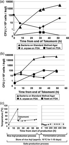 Figure 3. Changes in microbial profile during the five-stage koji production process for sample SA-1 from brewery A (a) and sample SB-3 from brewery B (b). an example of diagram for the mode of sake production process (rice koji production process and fermentation process) time-temperature (c).Notes: Samples were collected at the end of each stage (Tokomomi, Kirikaeshi, Mori, Shimai-Shigoto, Dekoji) and the time was counted from the end of Tokomomi. Supplemental Figure S1 for a description of the stages. Filled triangles indicate the bacteria that were visually identified on standard assay agar. Filled circles indicate Aspergillus oryzae and filled squares indicate yeast; both were visually identified on potato dextrose agar (PDA). Colony-forming units (CFU) are presented as means of five replicate plates and standard deviations are shown as error bars. The vertical axis in (a) and (b) shows CFU in logarithmic scale. The data shown in (c) were taken from Tables S2 and S3, which were based on representative data.