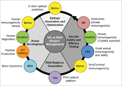 Figure 1. Organization of the Q-VaxCelerate Program.
