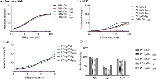 Figure 1. ELISA is capable of detecting nucleotide dependent interaction of PfHop with PfHsp70-1. The ELISA representative binding curves for the interaction of PfHop with PfHsp70-1 GGMP and linker variants in the absence of nucleotide (NN) (A) and in the presence of 5 mM ATP (B) or 5 mM ADP (C). The resultant absorbance values obtained at the highest concentration of PfHop were averaged as the maximum (100%) binding for the protein. Bar graphs represent the relative intensity of binding between PfHsp70-1; PfHsp70-1G632, PfHsp70-1G648 and PfHsp70-1L with PfHop under the distinct nucleotide states normalised to PfHsp70-1 in the absence of nucleotides (D). Interaction of PfHop with the PfHsp70-1NBD was used as a baseline. The error bars represent standard errors of the mean obtained from three assays conducted using different batches of purified recombinant protein. Statistical analyses were conducted using a One-way ANOVA (p<0.01).