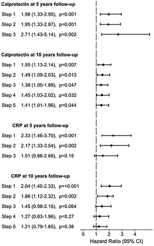 Figure 1. Hazard ratios for biomarkers associated with cardiovascular events. HR is expressed per 1 SD increase of loge calprotectin and loge CRP at 5 and 10 years follow-up. Age was used as time axis and thereby adjusted for in all models. Step 1: adjusted for age. Step 2: adjusted for age, sex and cystatin C. Step 3: adjusted for age, sex, cystatin C and previous CVD. Step 4: adjusted for age, sex, cystatin C, previous CVD, systolic blood pressure, high-density lipoprotein (HDL) cholesterol and HbA1c. Step 5: adjusted for age, sex, cystatin C, previous CVD, HDL cholesterol, HbA1c, CRP and calprotectin. HR: hazard ratio; CI: confidence interval; CVD: cardiovascular disease; CRP: C-reactive protein.