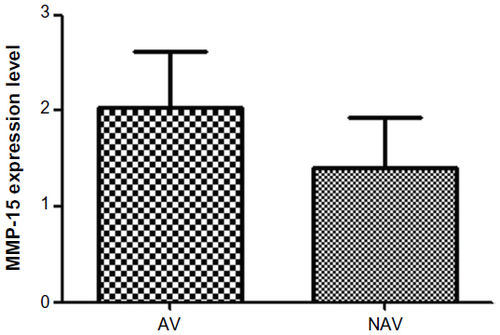 Figure 2 MMP-15 expression in atherosclerotic vessels versus nonatherosclerotic vessels.