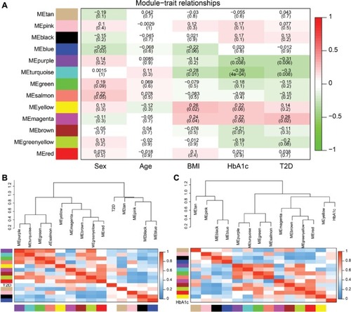 Figure 6 Correlation between modules and T2D.