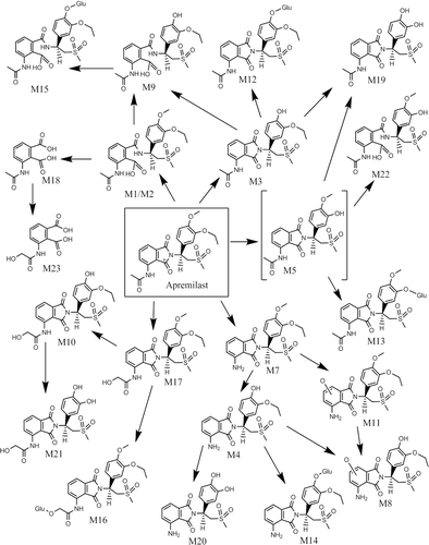 Figure 7.  Metabolic scheme of apremilast in humans. For hydrolysed phthalidomide ring products, only one of two possible forms is shown. [M5, O–desethyl apremilast, was not observed in this study and is a proposed intermediate metabolite] (GLU: glucuronic acid, * site of 14C label).